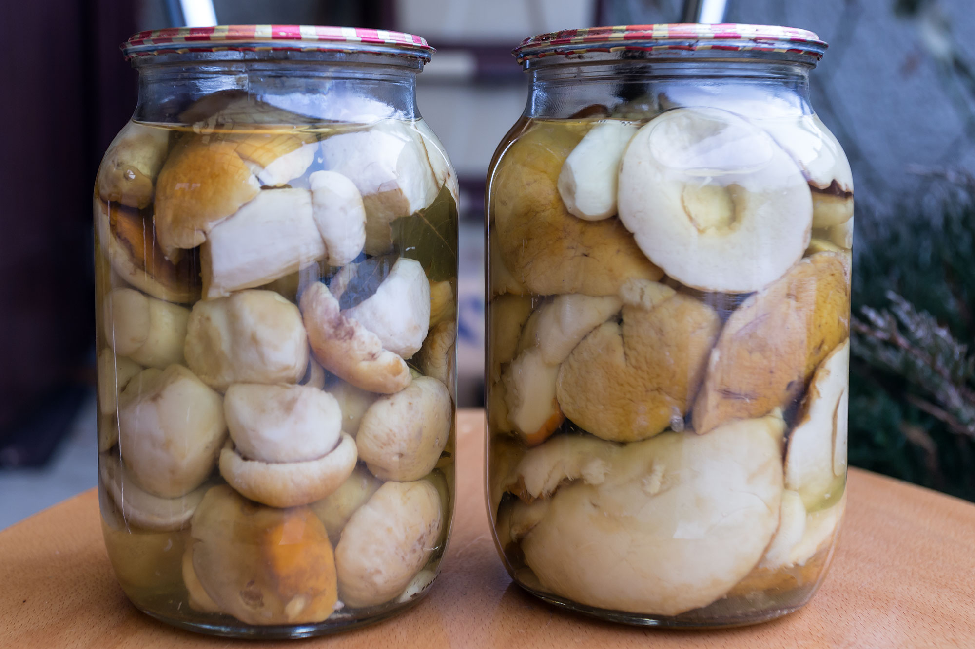 Как мариновать белые грибы | Самые вкусные кулинарные рецепты