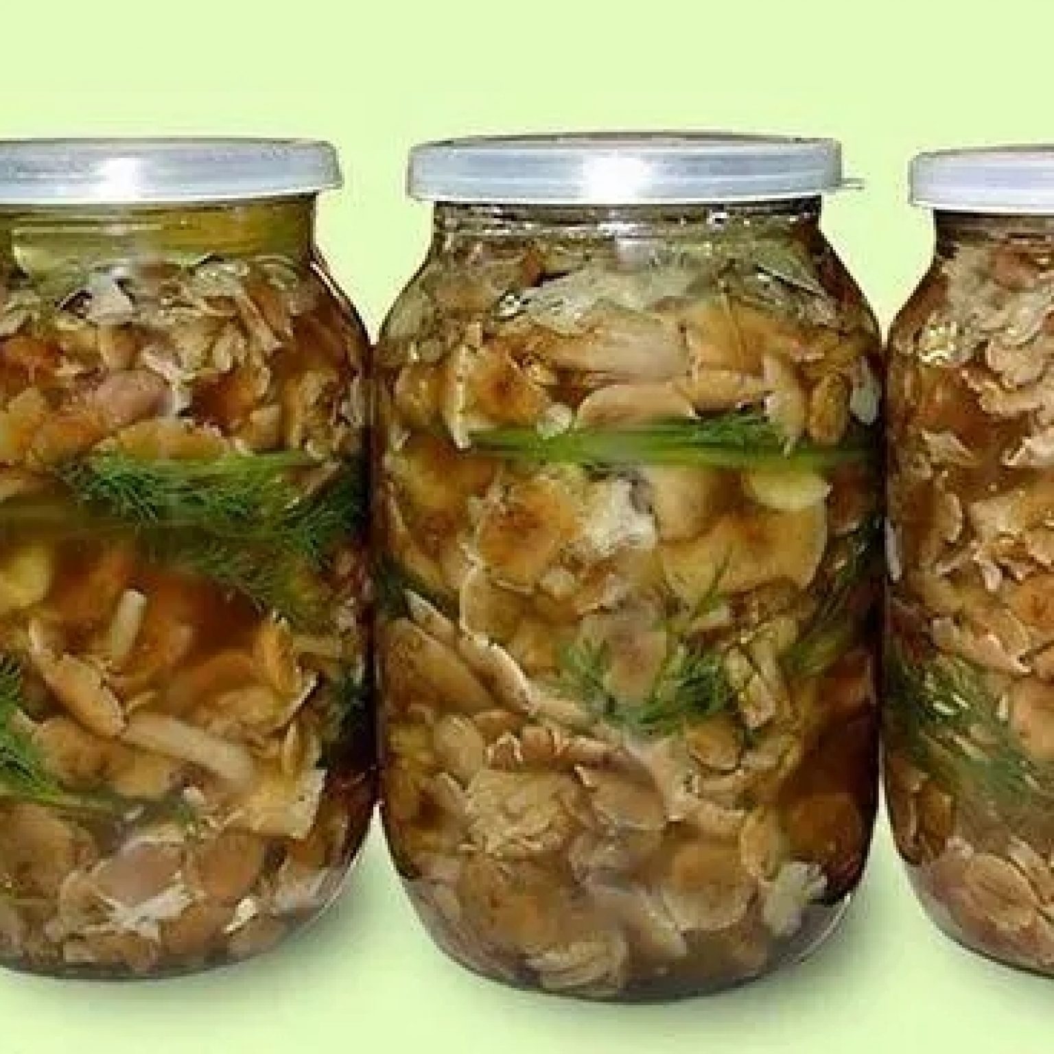 Соленые грибы | Самые вкусные кулинарные рецепты