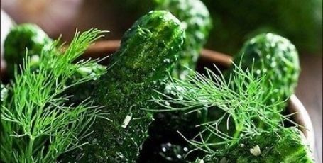 Малосольные огурцы: топ 5 рецептов приготовления