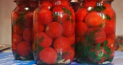 Маринованные помидоры «Людмила»