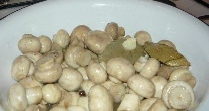 Как мариновать белые грибы