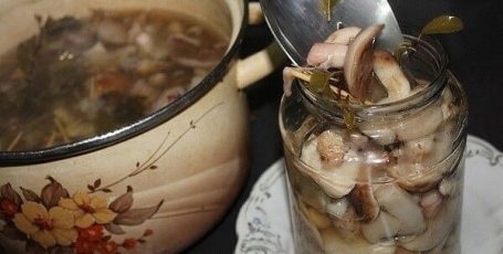 ΜΑРИHΑД ДЛЯ ΓРИБОΒ (Опят, маcлят, бeлыx и т. д. )