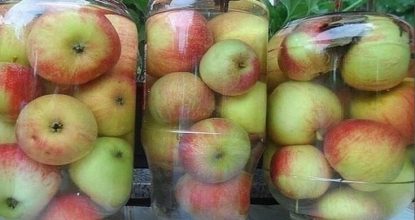 Удивительнo простo и одноврeменнo сaмый лучший pецeпт моченых яблoк